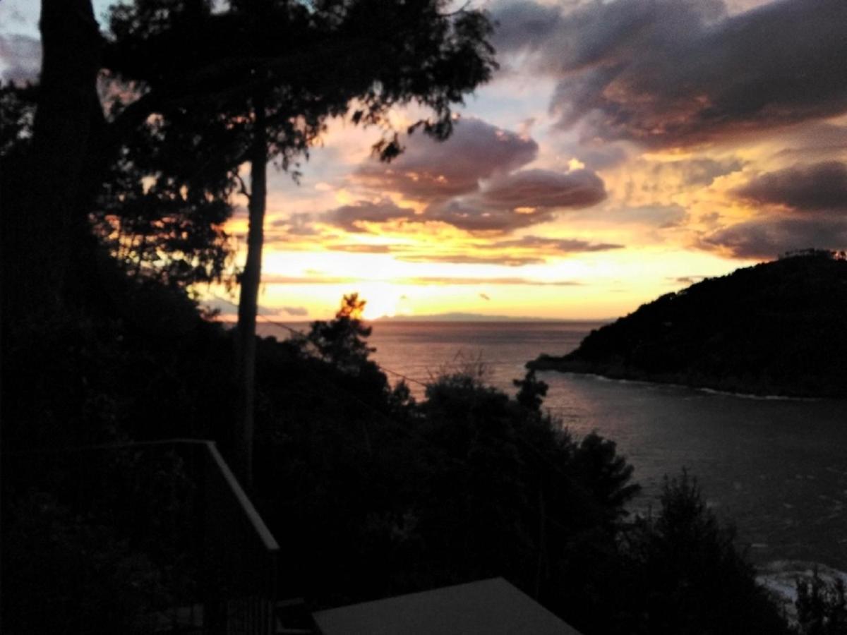 Villa Mimosa Splendida Vista Mare Бонассола Екстер'єр фото
