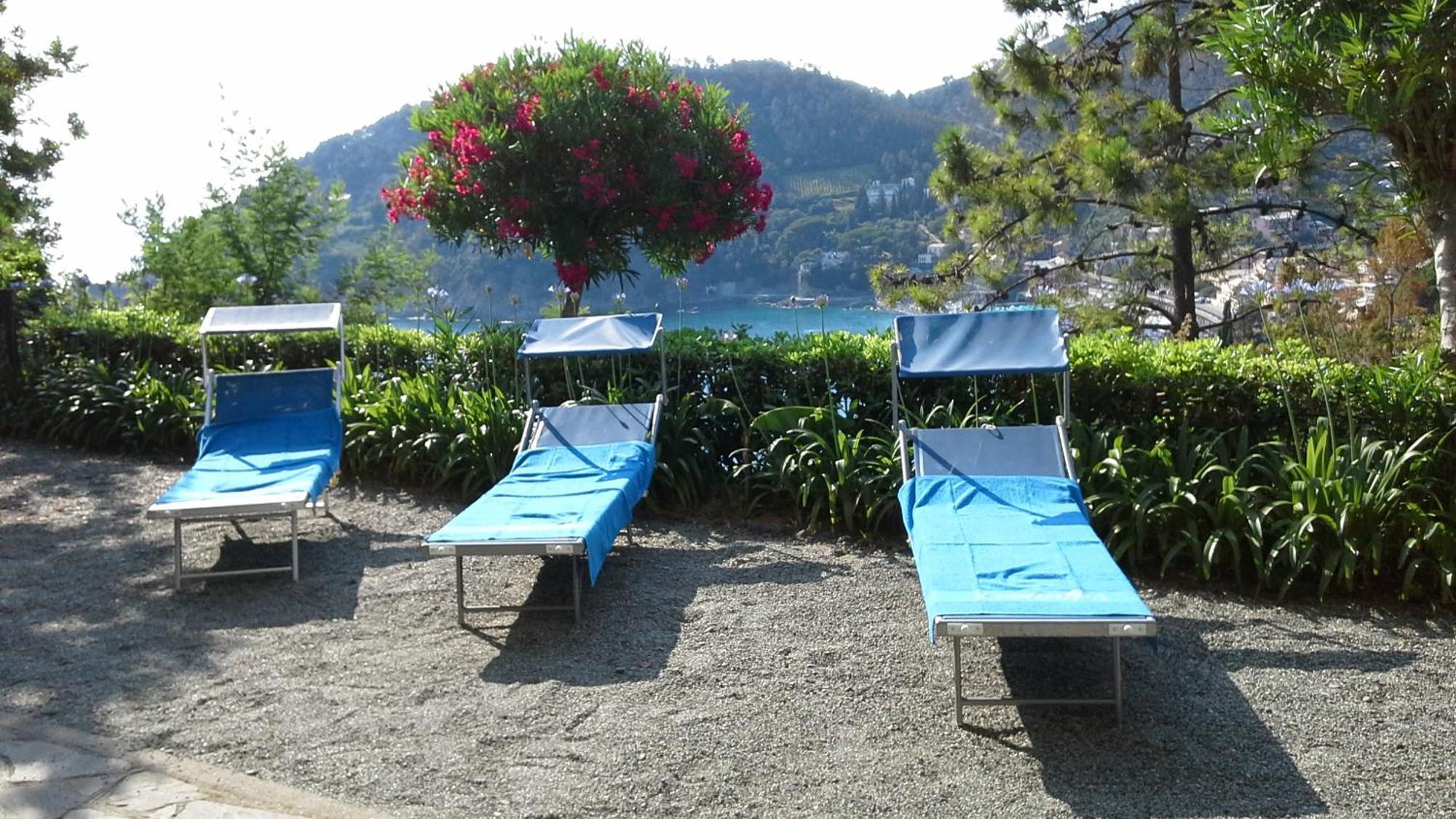 Villa Mimosa Splendida Vista Mare Бонассола Екстер'єр фото
